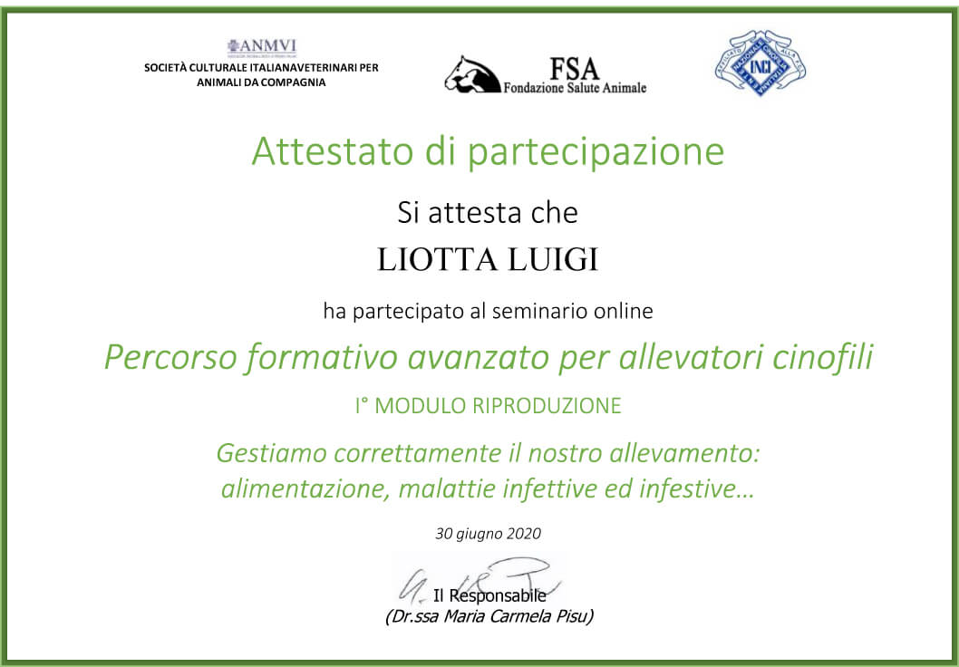 Percorso formativo avanzato