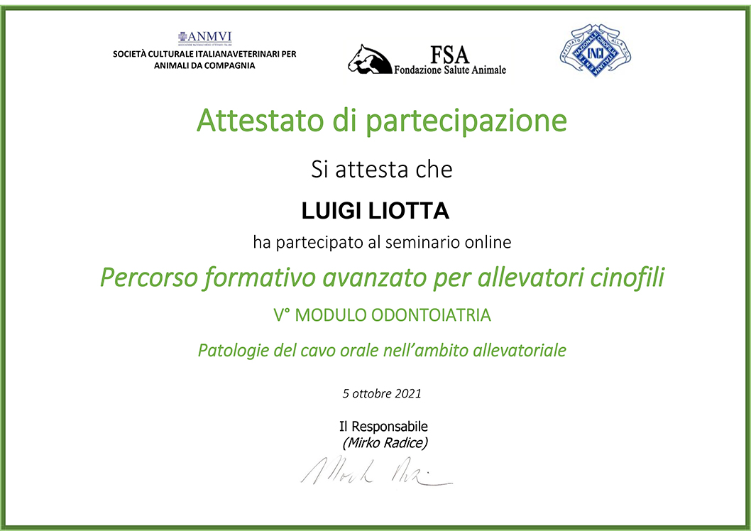 Percorso formativo avanzato