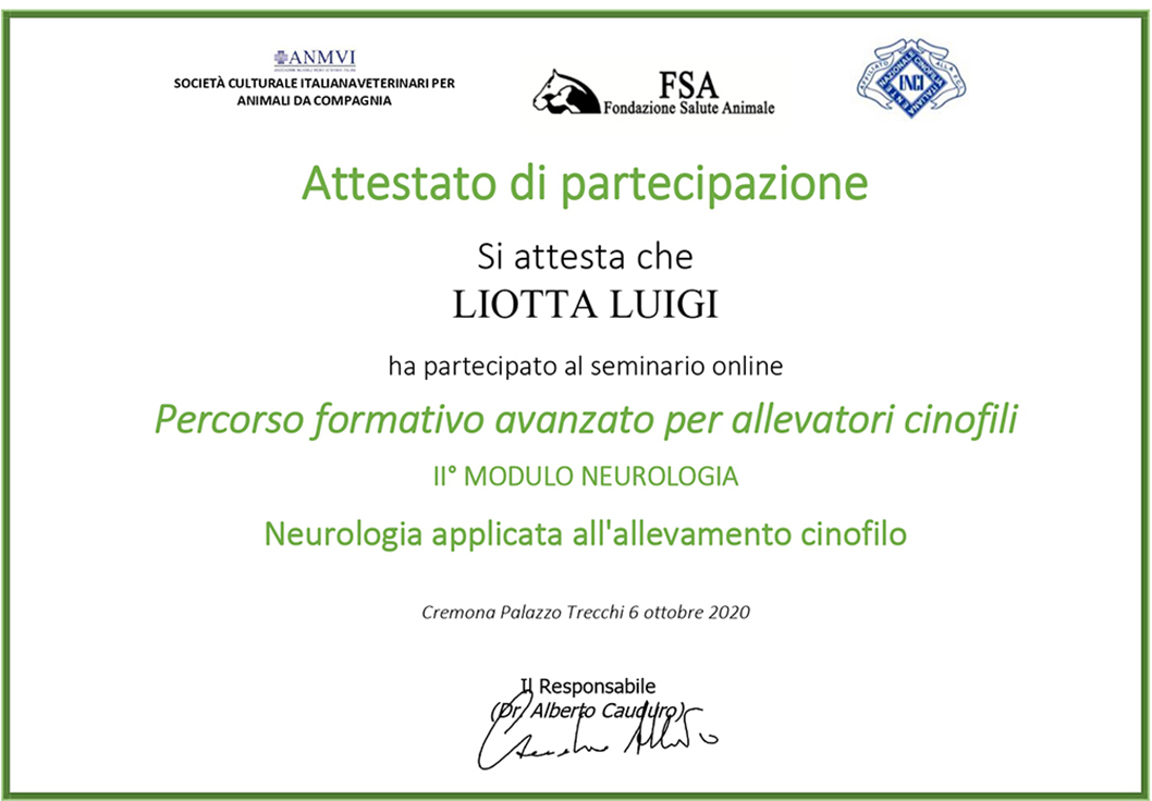 Percorso formativo avanzato