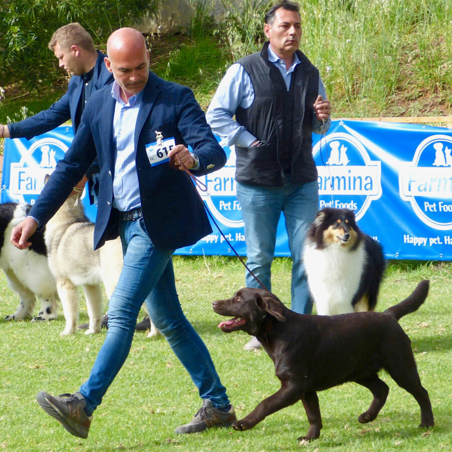 Clementina della Sciaranera