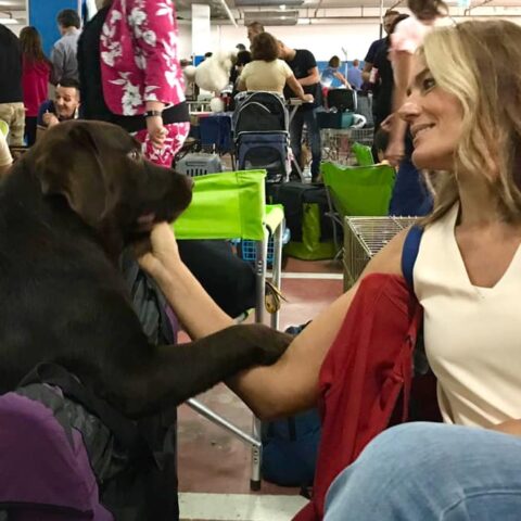 Simona e Gigetto, European Dog Show, Austria 2019